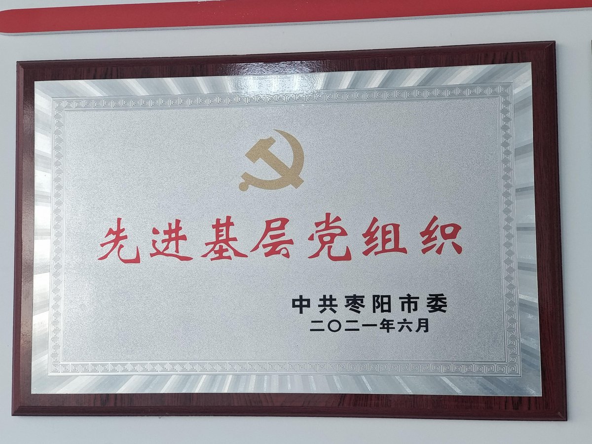 先进基层党组织 2021